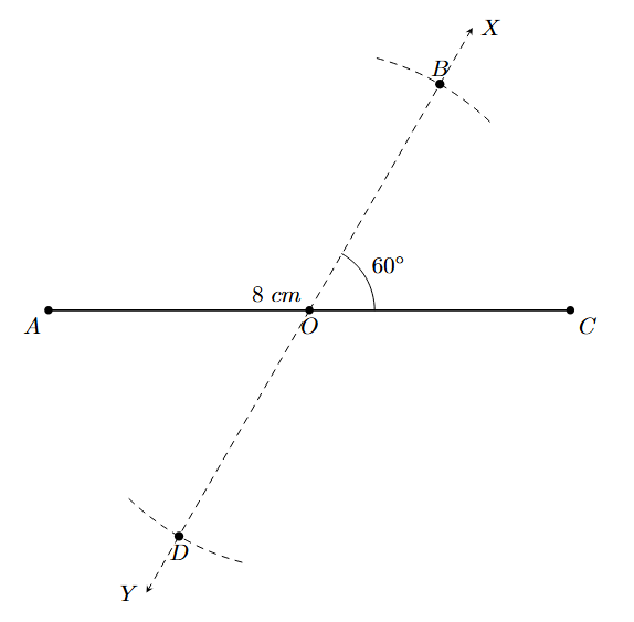 Mark points B and D on XY